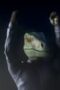 Nonton Film Jurassic World: Chaos Theory Season 2 Episode 4 Bioskop21 Nonton Film Jurassic World: Chaos Theory Season 2 Episode 4 Bioskop21